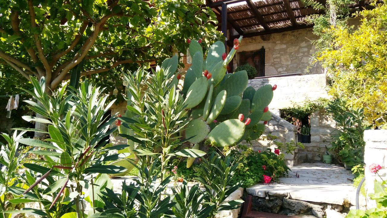 Villa Filiza Sívas Extérieur photo